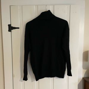 Everlane Cashmere Turtleneck